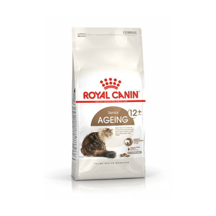 Ageing Cat 12+