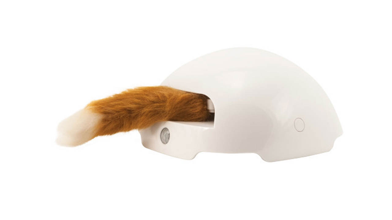 frolicat fox