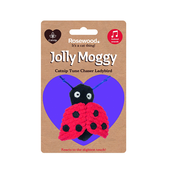 Jolly Moggy Catnip Tune Chaser Ladybird