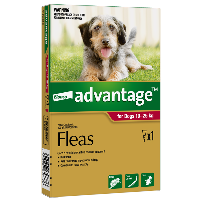 Advantage for Dogs 10-25kg - Single