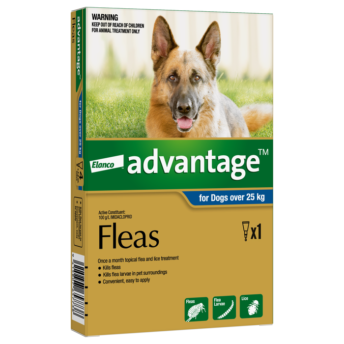 Advantage for Dogs Over 25kg - Single