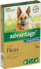 Advantage Dog Over 25kg Single Flea Treatment