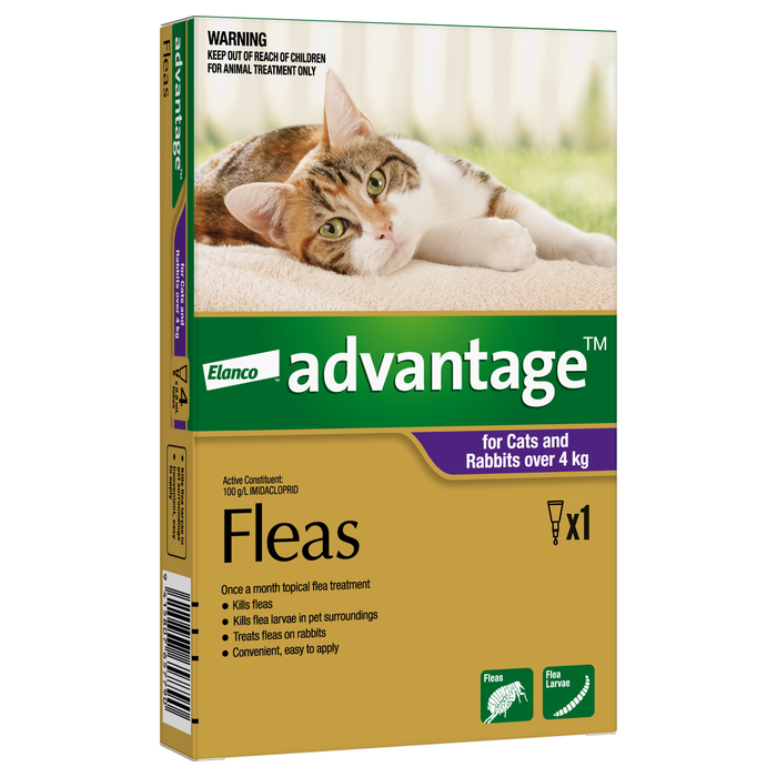 Advantage for Cats and Rabbits over 4kg - Single
