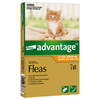 Advantage for Cats, Kittens, and Rabbits less than 4kg - Single