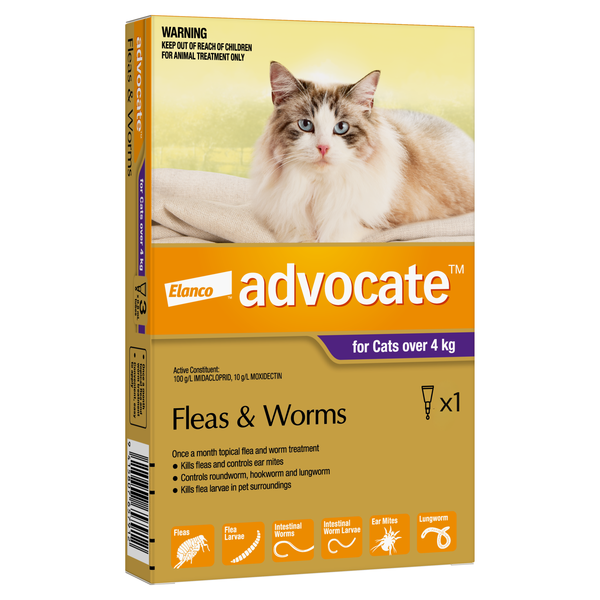 Advocate Cat Over 4kg - Single