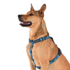 Lochie All Purpose Harness 2.0