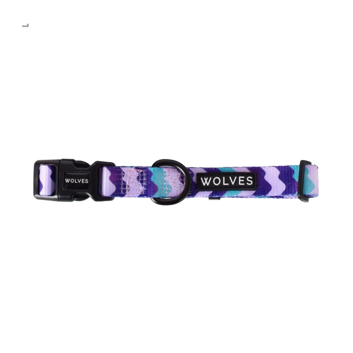 Sulley Dog Collar Sulley Dog Collar