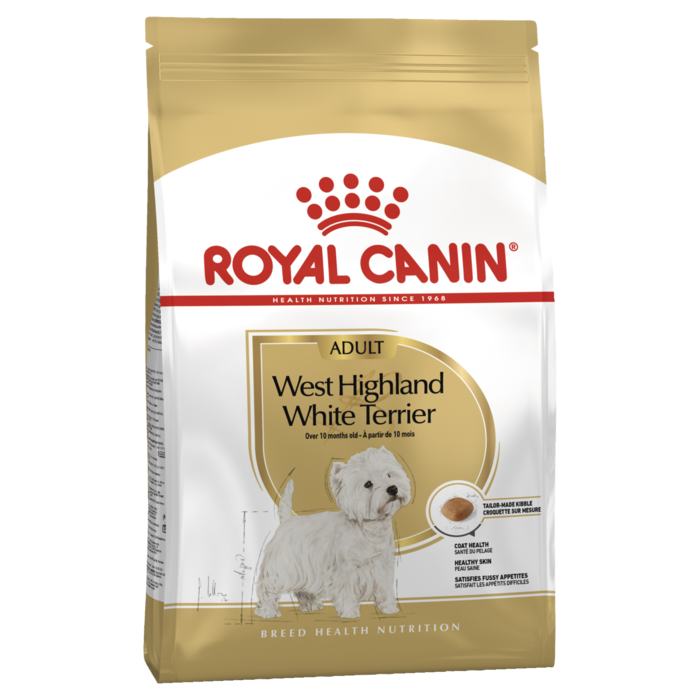 Adult West Highland White