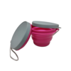 Collapsible Food & Water Bowl with Lid