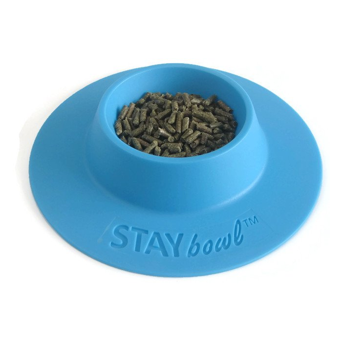 Guinea Pig Stay Bowl