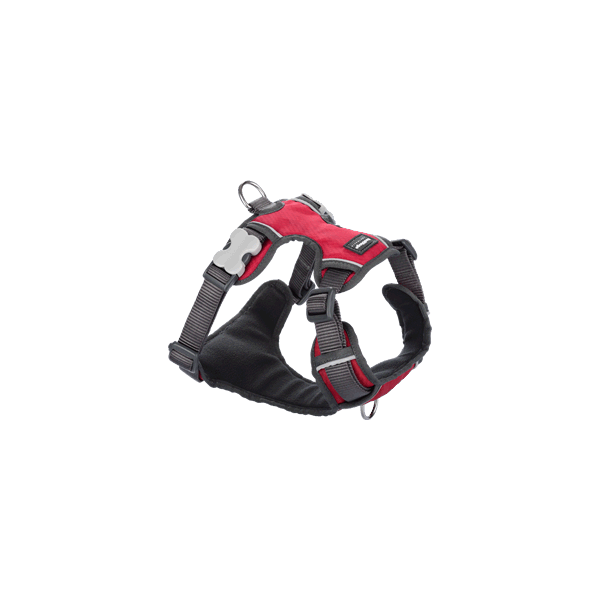 Red Dingo Padded Harness