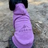 Huskimo Hartz Peak Hoodie