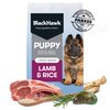 Blackhawk Large Breed Lamb & Rice Puppy Food