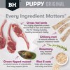 Black Hawk Large Breed Puppy Lamb & Rice 