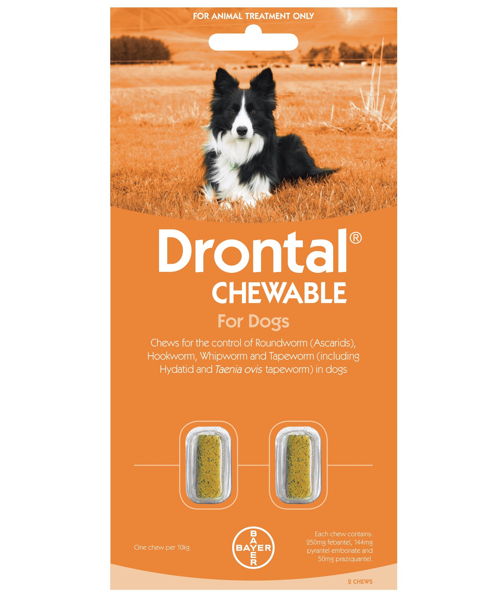 Drontal Dog Chew 10kg 2pk DogFlea & WormWorm Treatments Pet Shop
