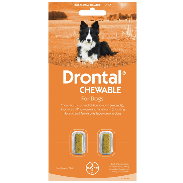 Drontal Dog Chew 10kg 2pk