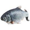 Wiggly Fish Cat Toy 