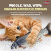 Wiggly Fish Cat Toy 