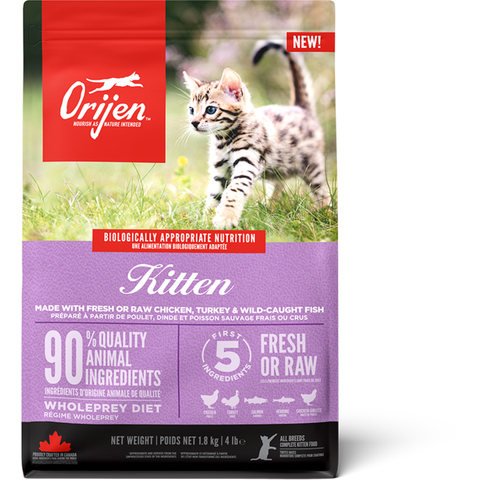 Orijen Kitten