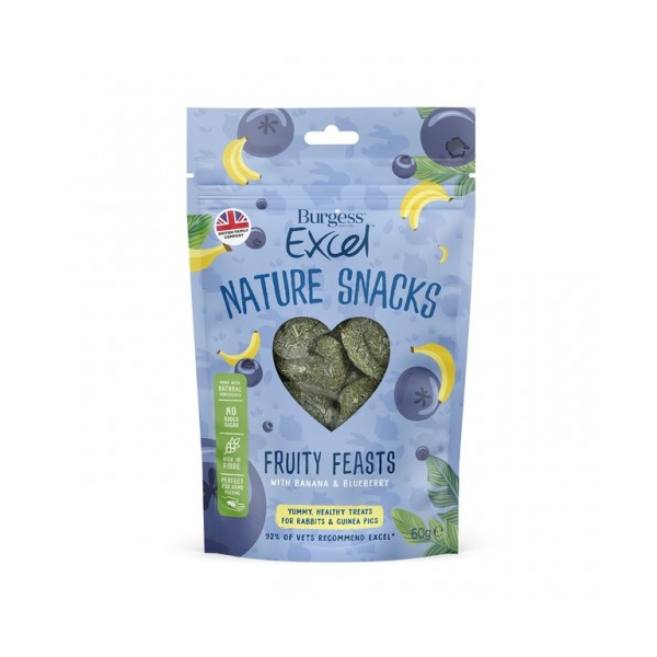 Burgess Excel Fruity Feasts Treats 60g