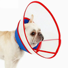 Elizabethan Recovery Dog Cone