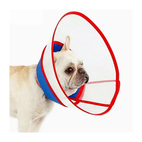 Elizabethan Recovery Dog Cone