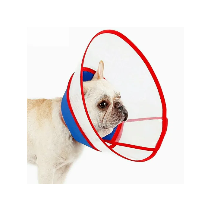 Elizabethan Recovery Dog Cone