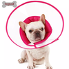 Elizabethan Recovery Dog Cone