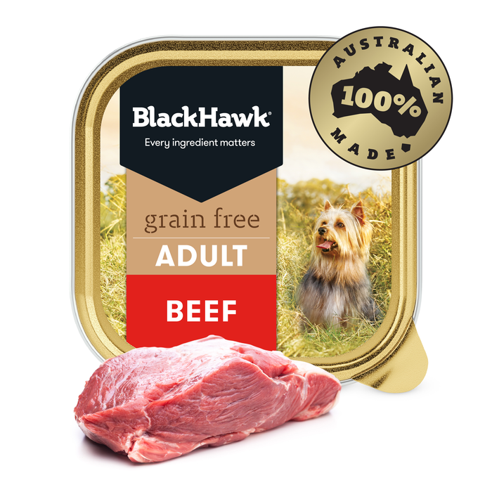 Grain Free Beef Wet Dog Food 100g 