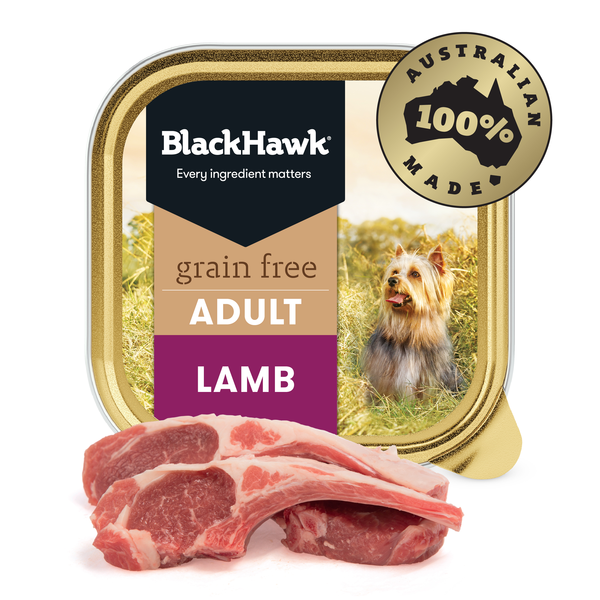 Grain Free Lamb Wet Dog Food 100g 