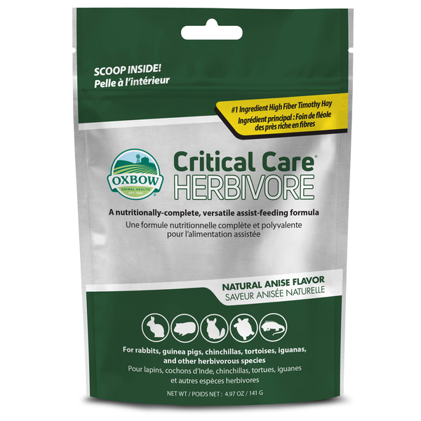 Critical Care Anise 