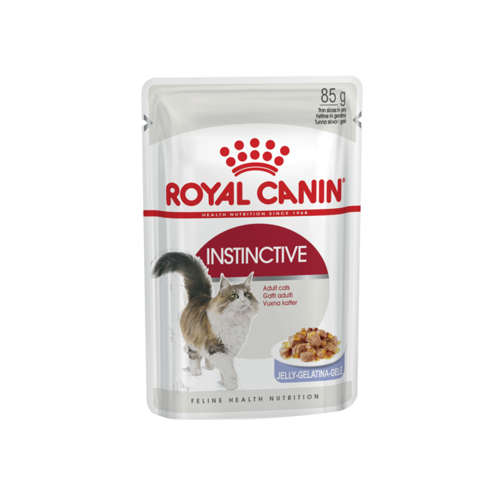 Instinctive Cat Jelly