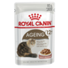Ageing 12+ Cat Gravy