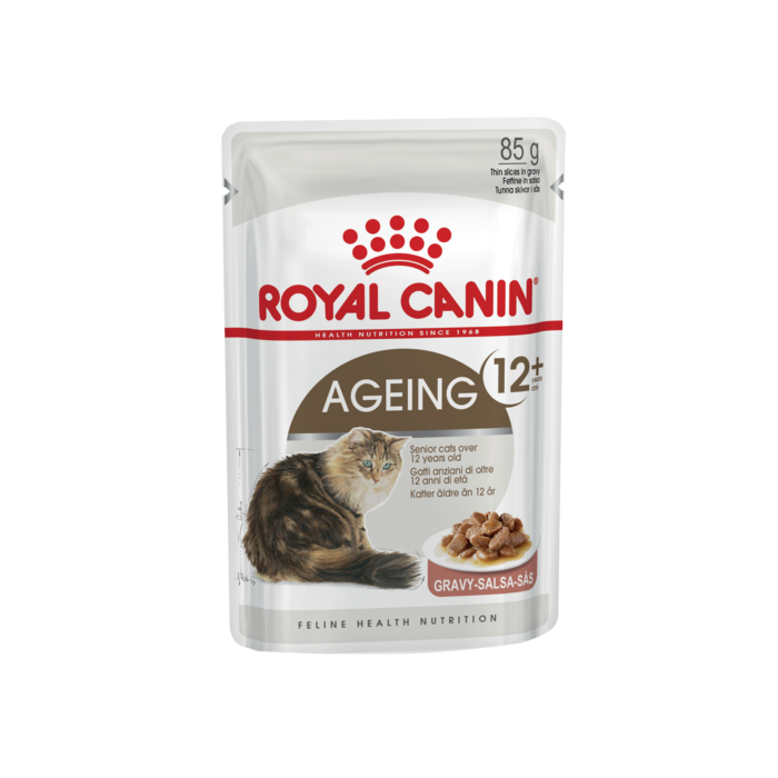 Ageing 12+ Cat Gravy