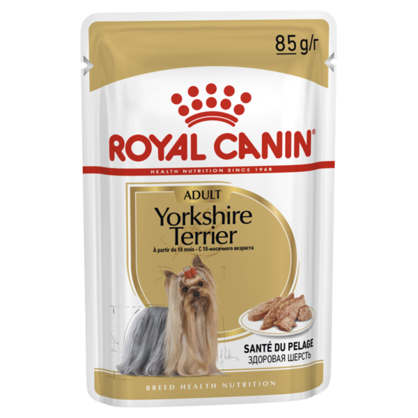 Adult Yorkshire Terrier Wet Food