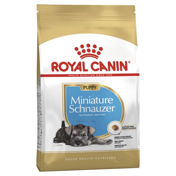 R/C Miniature Schnauzer Puppy