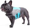 Soft Harness Vest - Turquoise