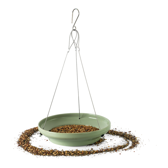 Splash & Feed Bird Bath