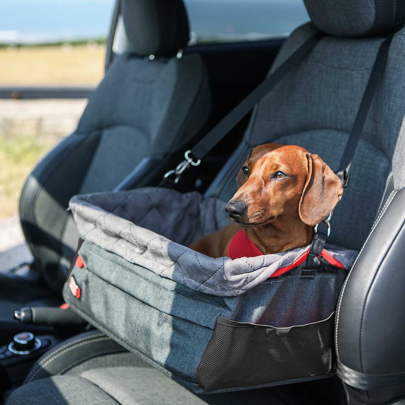 Kong Secure Booster Seat Dog Travel Pet Shop Auckland Pet.kiwi Kong