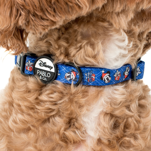 Mickey's Magical Christmas Dog Collar