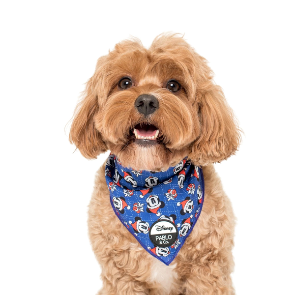 Mickey's Magical Christmas Dog Bandana