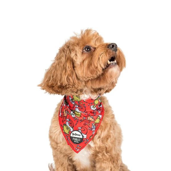 Dr.Seuss The Grinch Dog Bandana