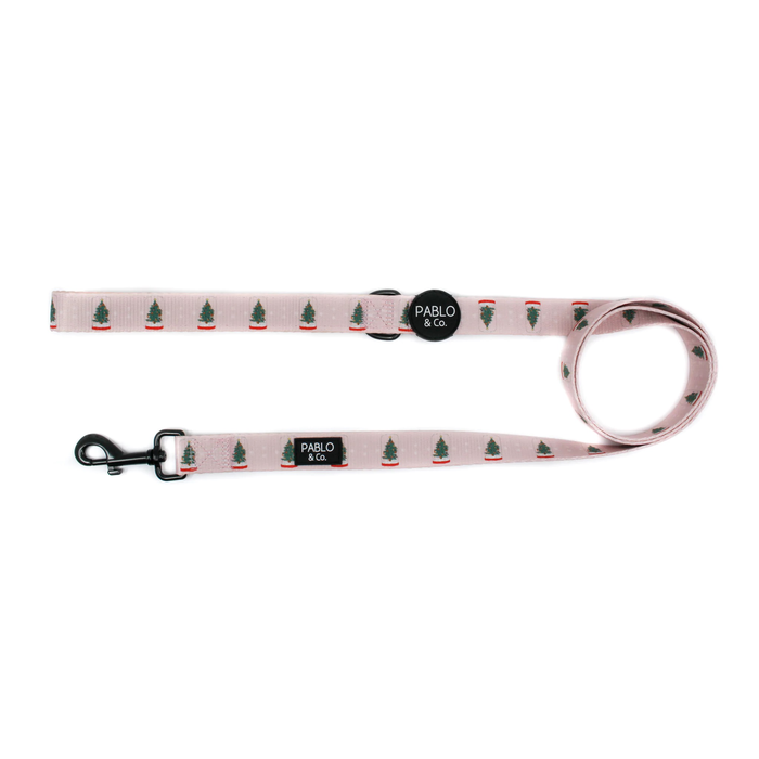 Snow Globes Dog Leash