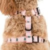 Snow Globes Dog Adjustable Harness