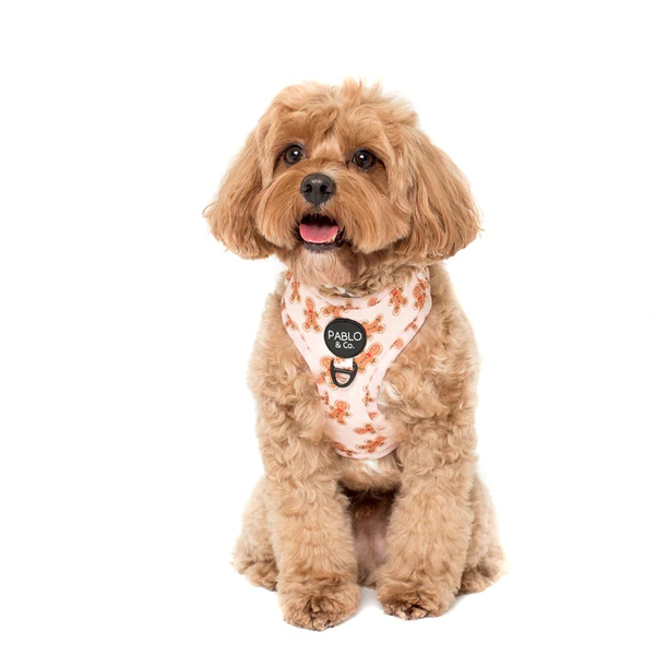 The Gingerbread Man Dog Adjustable Harness