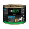 Nutripe Pure Salmon & Green Tripe Adult Dog Food 185g