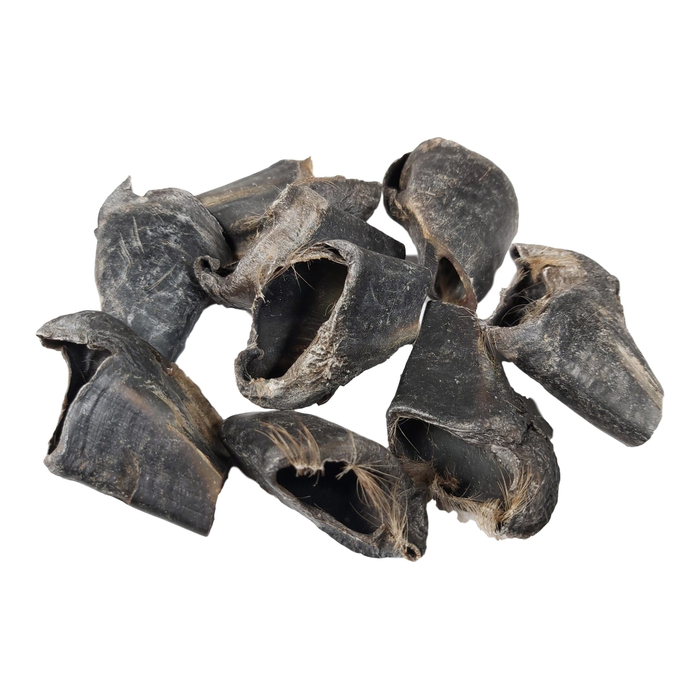 Small Venison Hoof Nail - Single