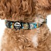 The Lion King - Dog Collar