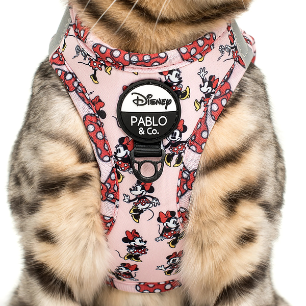 Minnie Mouse & Flowers - Step In Cat Harness