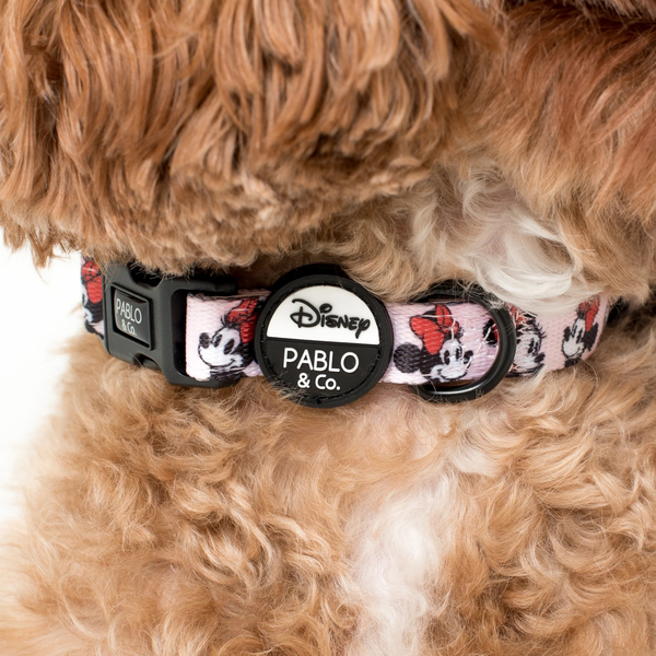 Minnie Mouse & Flowers - Dog Collar